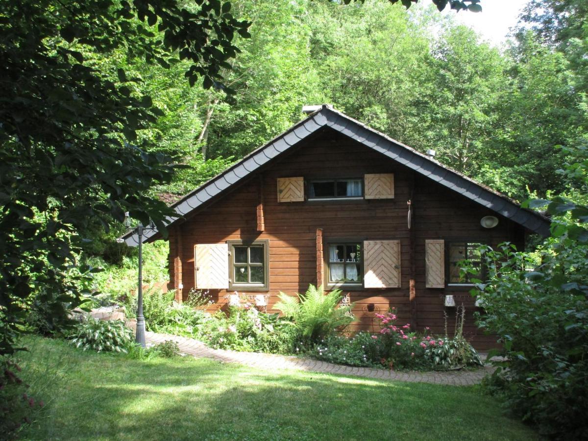 Ferienhaus Eulennest Hilders Экстерьер фото
