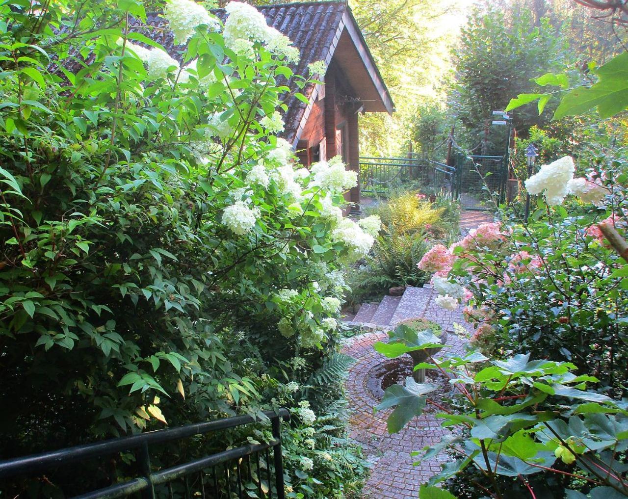 Ferienhaus Eulennest Hilders Экстерьер фото